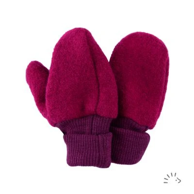 Mittens boiled wool