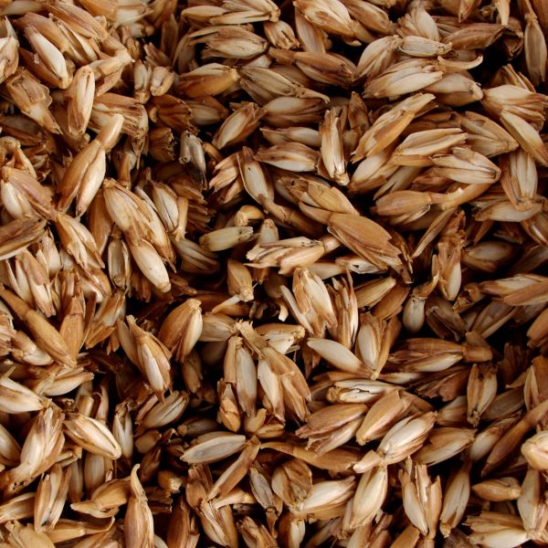 Bio-Dinkelspelzen Nachfüllung 1 kg