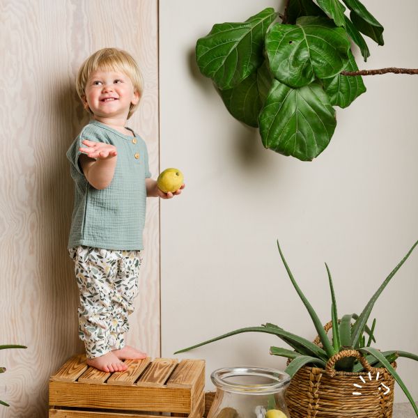 Hose Single Jersey GOTS