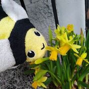 Fürnis Waschhandschuh Biene