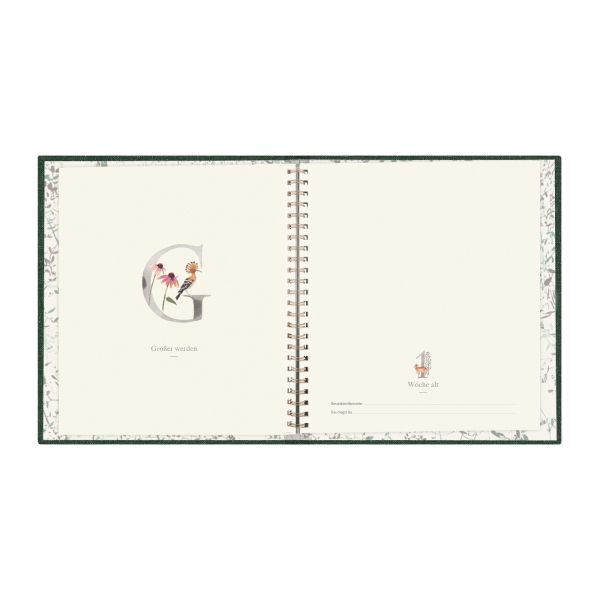 Milestone Mein erstes Jahr Babyalbum