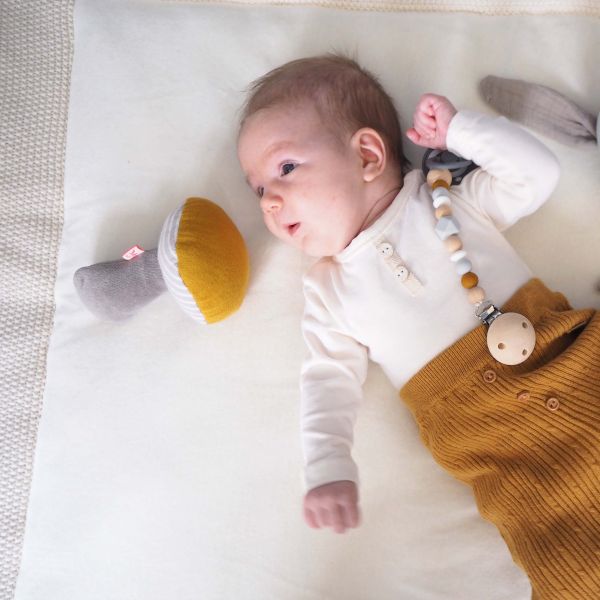 kikadu Greifling Pilz