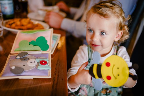 Stoffspielbuch Magischer Vogel