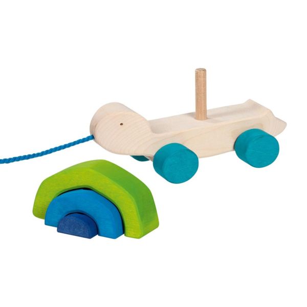 Ziehtier Schildkröte Tortuga