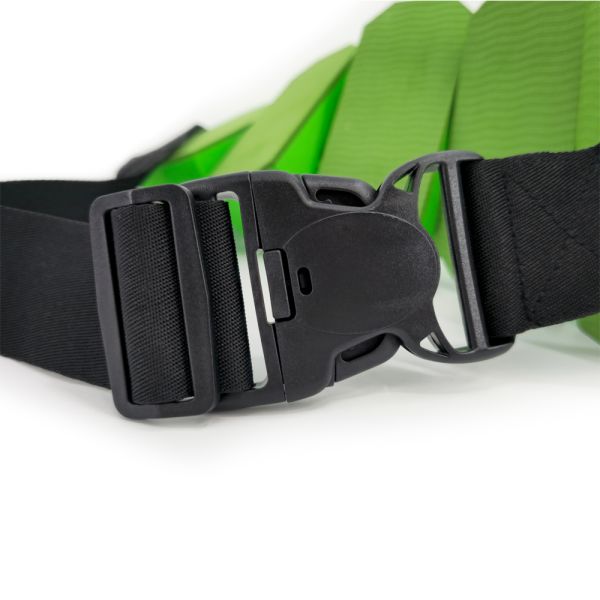 Grünflügel Schwimmgürtel