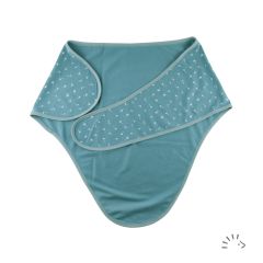 0484/Vintage Blue Dandelion