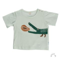 0527/Ocean Green Light - Print: Crocodile