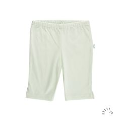 0520/Ocean Green Light