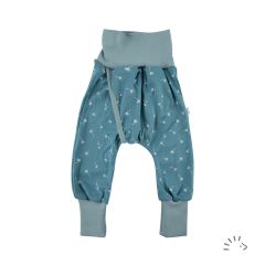 0484/Vintage Blue Dandelion