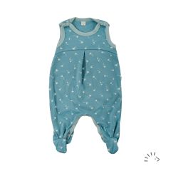 0484/Vintage Blue Dandelion