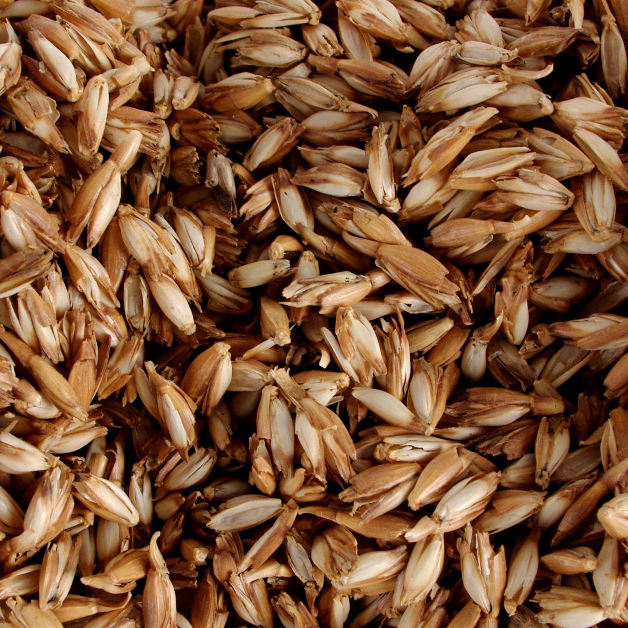 Bio-Dinkelspelzen Nachfüllung 1 kg