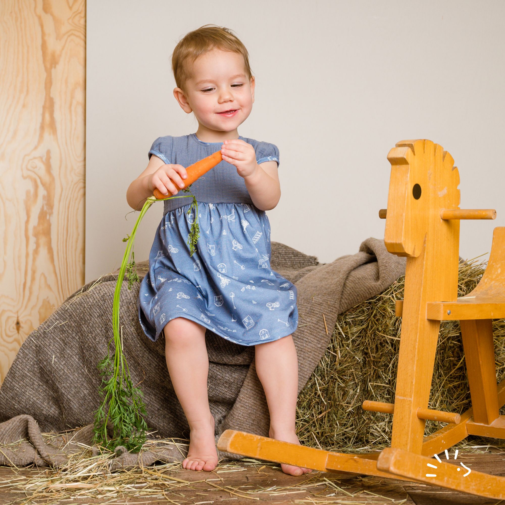 Kurzarmkleid Single Jersey GOTS