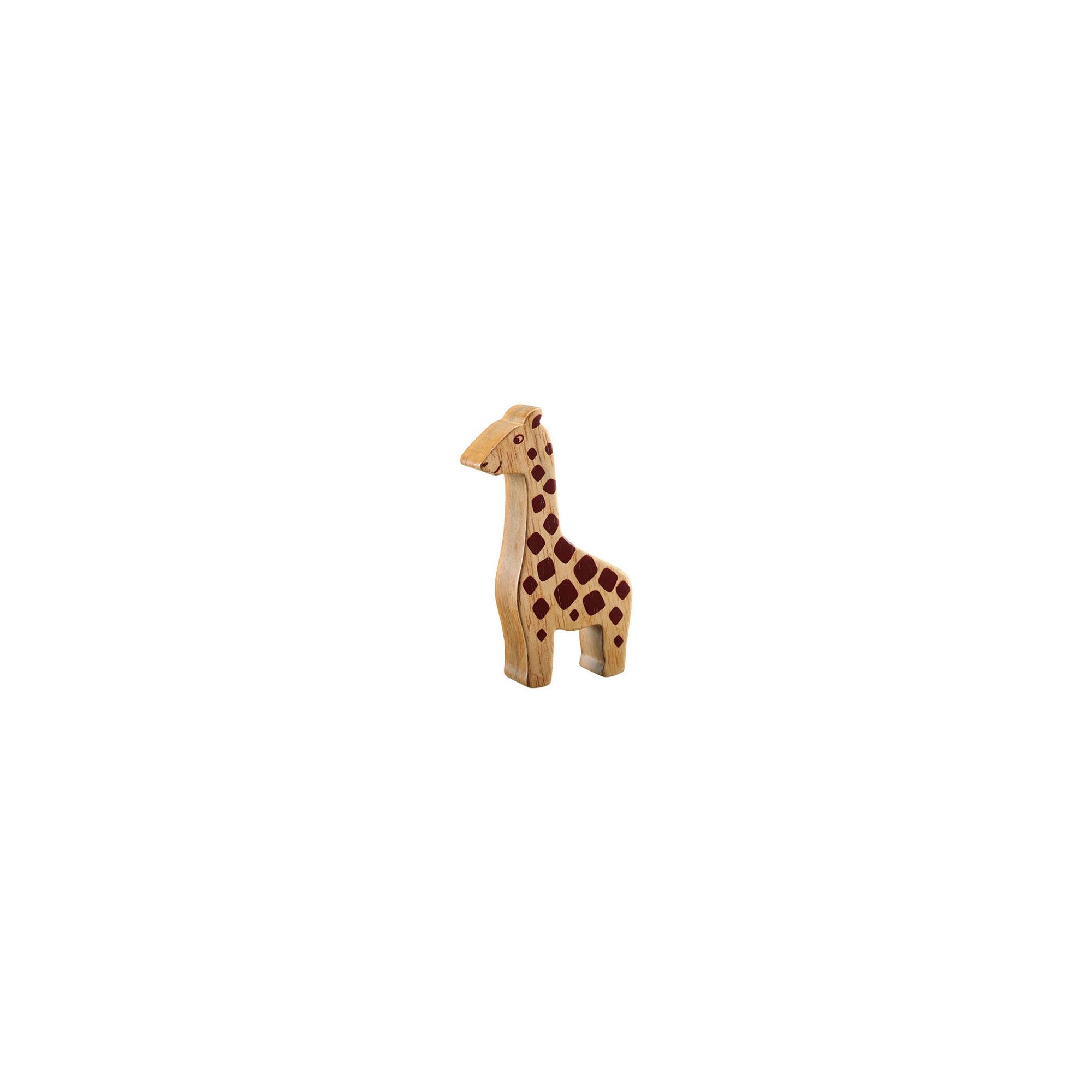 Lanka Kade Giraffe Natur