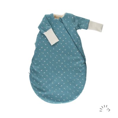 0484/Vintage Blue Dandelion