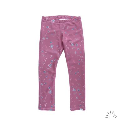0537/Turtle Mauve