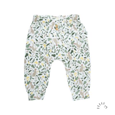 Hose Single Jersey GOTS