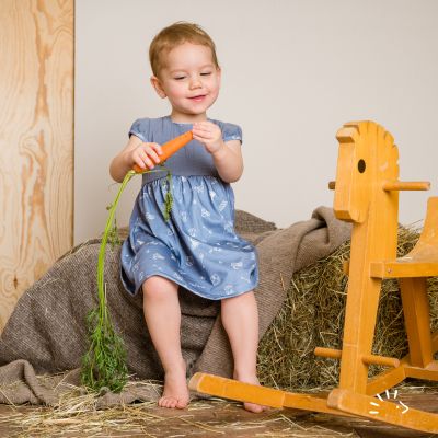 Kurzarmkleid Single Jersey GOTS