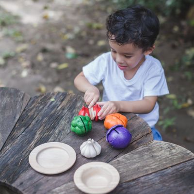 PlanToys Gemüse- Set 5tlg
