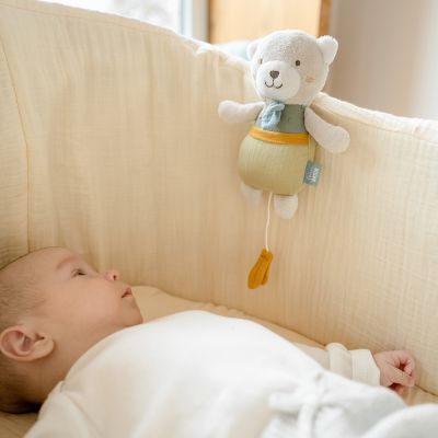 fehnNATUR Mini-Spieluhr Bär 