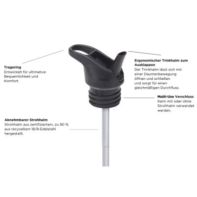 Kid Kanteen Flip Sport Dino Skate