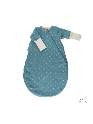 0484/Vintage Blue Dandelion