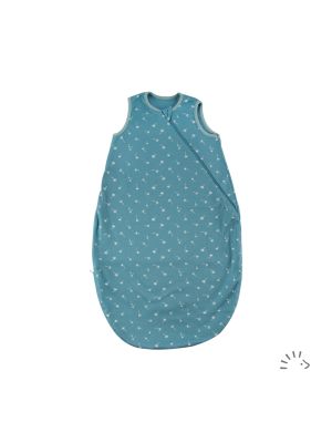 0484/Vintage Blue Dandelion