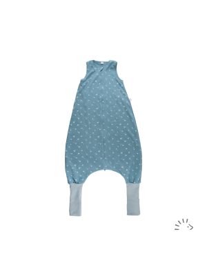 0484/Vintage Blue Dandelion