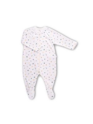 0552/Fruits & Veggies